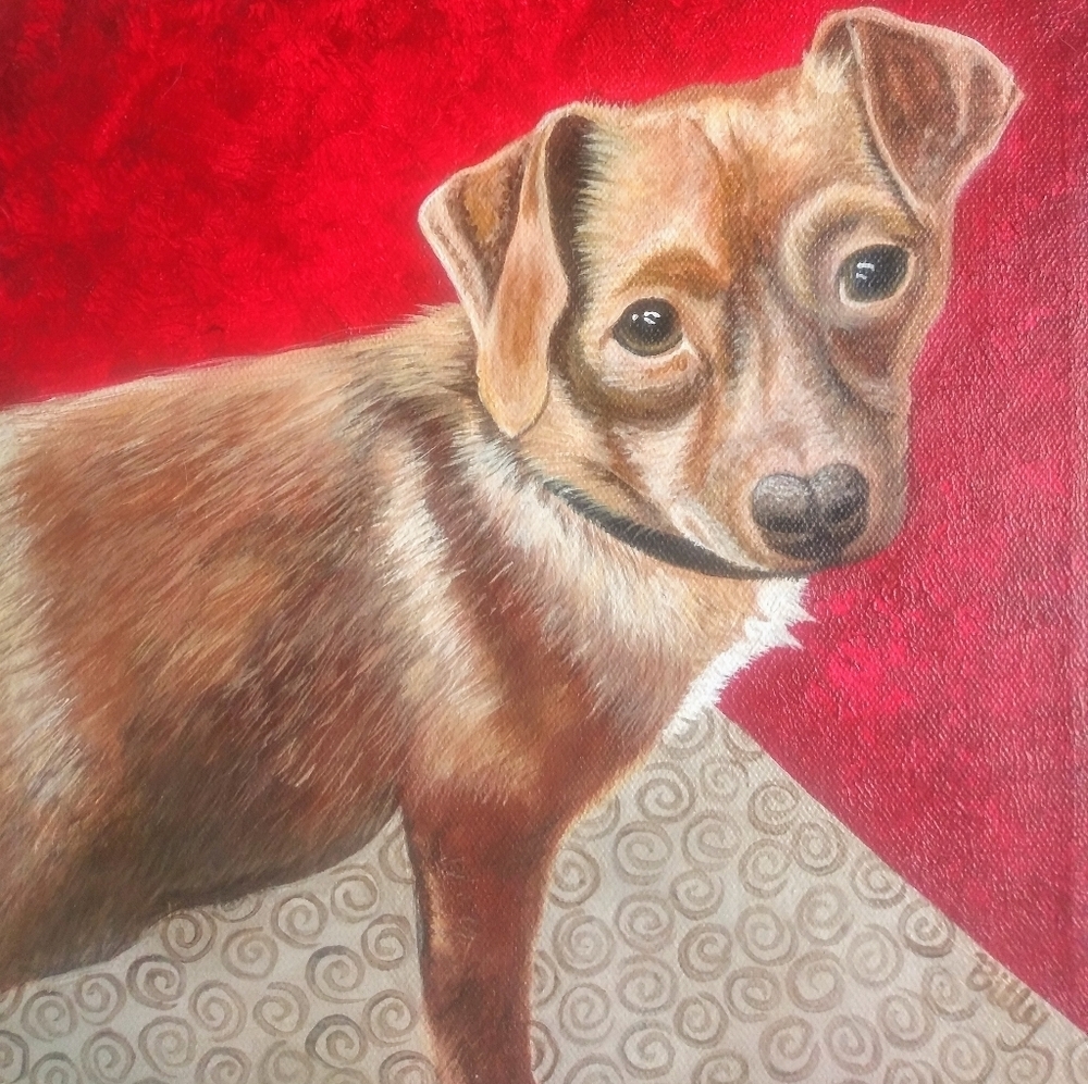 Custom Pet Portrait!